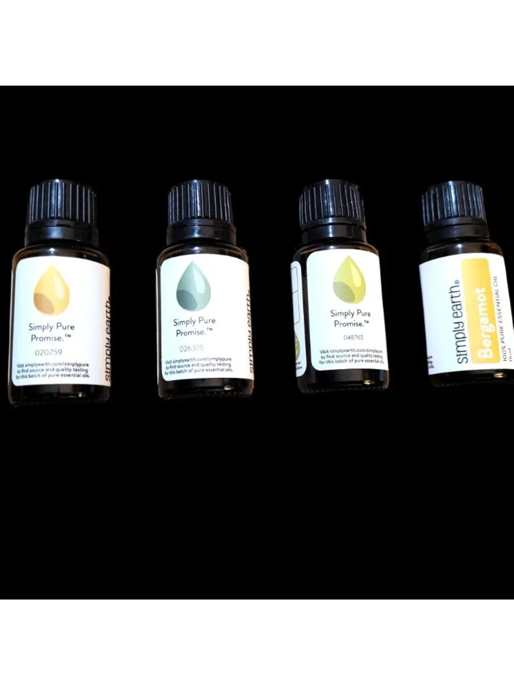 Simply Earth Essential Oil Kit 4 Oils Brush Compress Pad Lotion Base Recipes